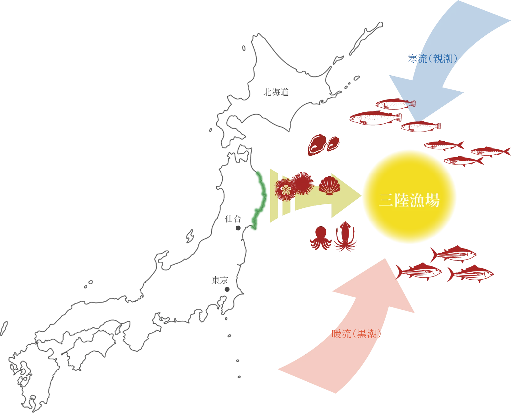 三陸沖の海流